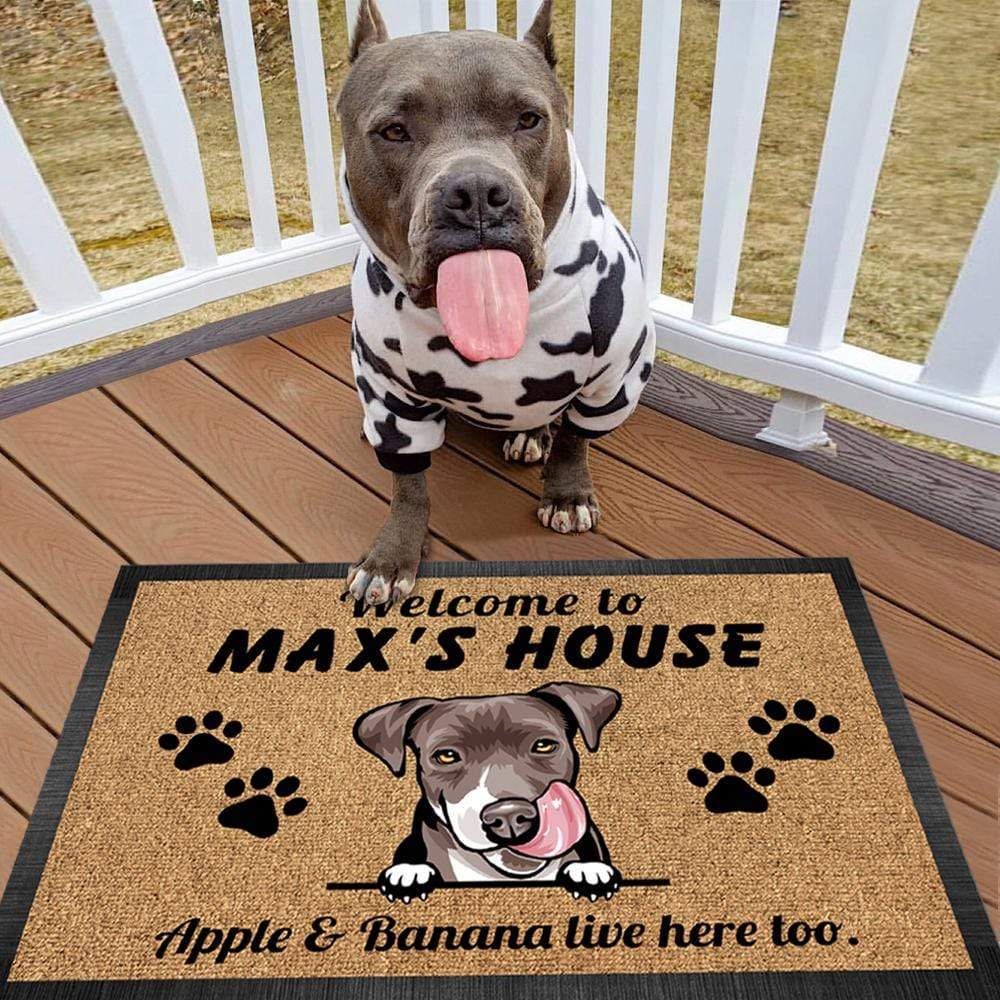 best door mats for dogs