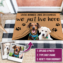 Load image into Gallery viewer, Upload Pet Photo &quot;Dog Name&quot; Are in Charge - Personalized Mat
