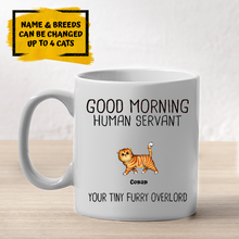 Load image into Gallery viewer, Walking Fluffy Cats Good Morning Cat Human Servant - Personalized Mug
