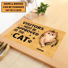 Load image into Gallery viewer, Fluffy Cats Tearing Visitors Must Be Approved Personalized Doormat
