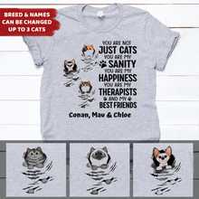 Load image into Gallery viewer, Scratching Fluffy Cats My Sanity - Personalized Shirt
