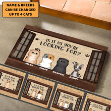 Load image into Gallery viewer, You Are Looking For Funny Cats - Personalized Doormat
