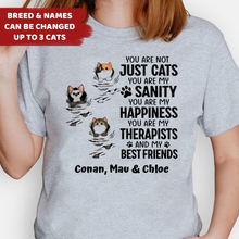 Load image into Gallery viewer, Scratching Fluffy Cats My Sanity - Personalized Shirt
