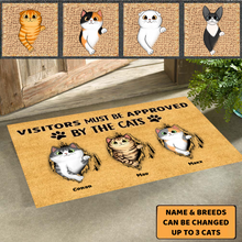 Load image into Gallery viewer, Fluffy Cats Tearing Visitors Must Be Approved Personalized Doormat
