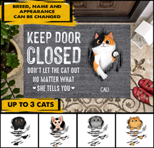 Load image into Gallery viewer, Keep Door Closed Fluffy Cat Tearing Personalized Doormat
