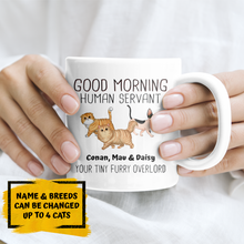 Load image into Gallery viewer, Walking Fluffy Cats Good Morning Cat Human Servant - Personalized Mug
