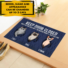 Load image into Gallery viewer, Keep Door Closed Fluffy Cat Tearing Personalized Doormat
