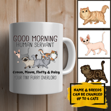 Load image into Gallery viewer, Walking Fluffy Cats Good Morning Cat Human Servant - Personalized Mug
