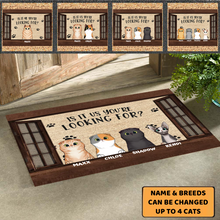 Load image into Gallery viewer, You Are Looking For Funny Cats - Personalized Doormat
