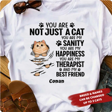 Load image into Gallery viewer, Scratching Fluffy Cats My Sanity - Personalized Shirt
