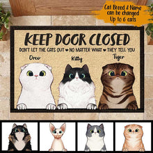 Load image into Gallery viewer, Don&#39;t Let The Cats Out - Personalized Cat Mat
