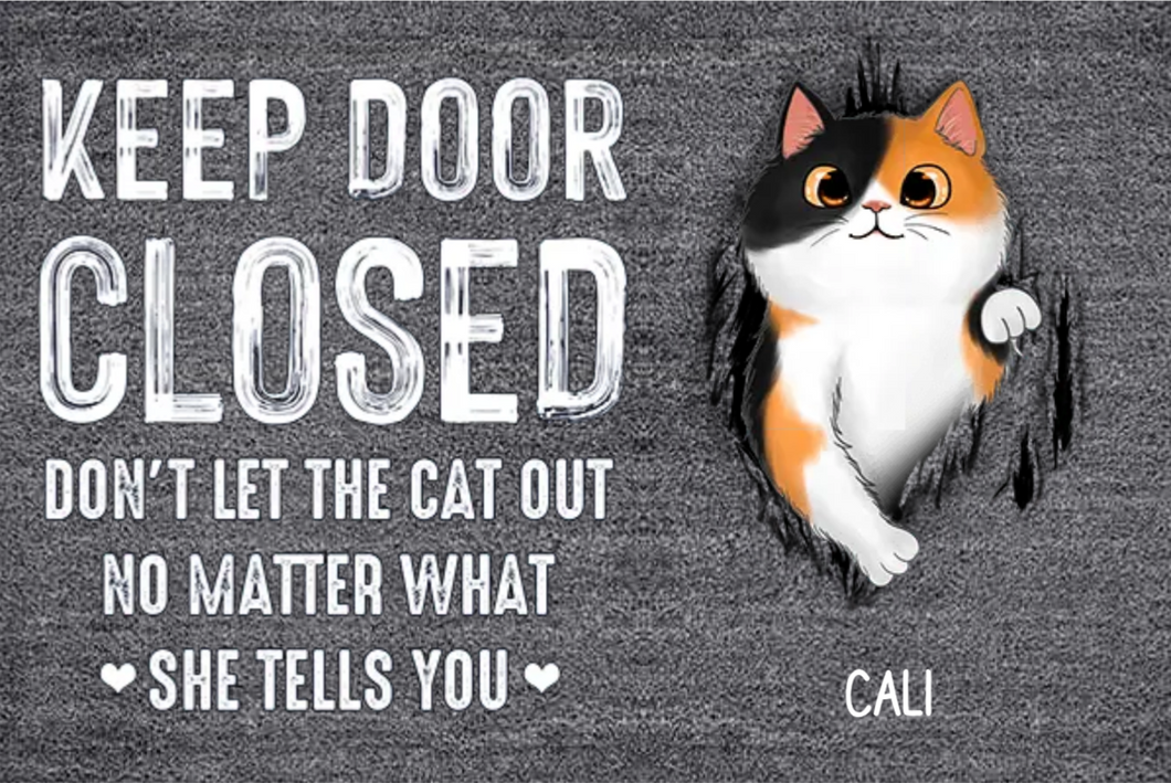 Keep Door Closed Fluffy Cat Tearing Personalized Doormat