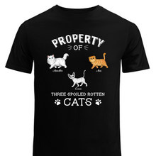 Load image into Gallery viewer, Cat Lover - The Spoiled Rotten Cats - Personalized Unisex T-Shirt
