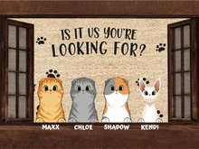 Load image into Gallery viewer, You Are Looking For Funny Cats - Personalized Doormat
